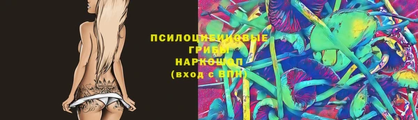 индика Володарск