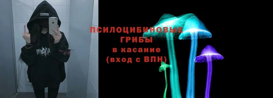 Галлюциногенные грибы Psilocybe  omg tor  Хотьково 